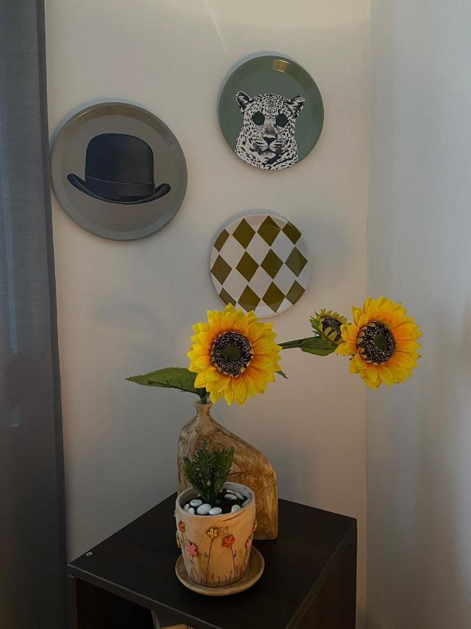 Mala Bella Apartment Zemun Bagian luar foto